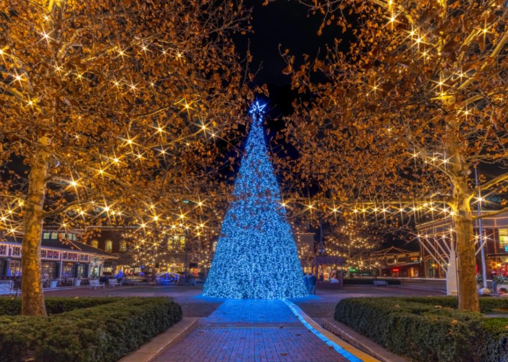 Holiday lights in Columbus.