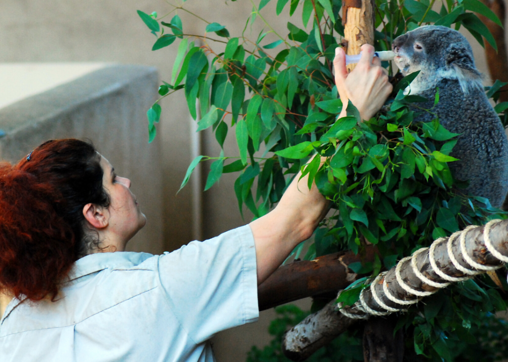 #38. Zoologists and wildlife biologists