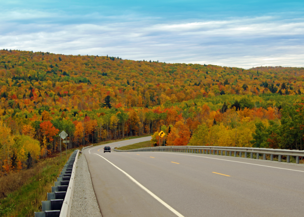 A truck on a highway surrounded by Fall foliage.