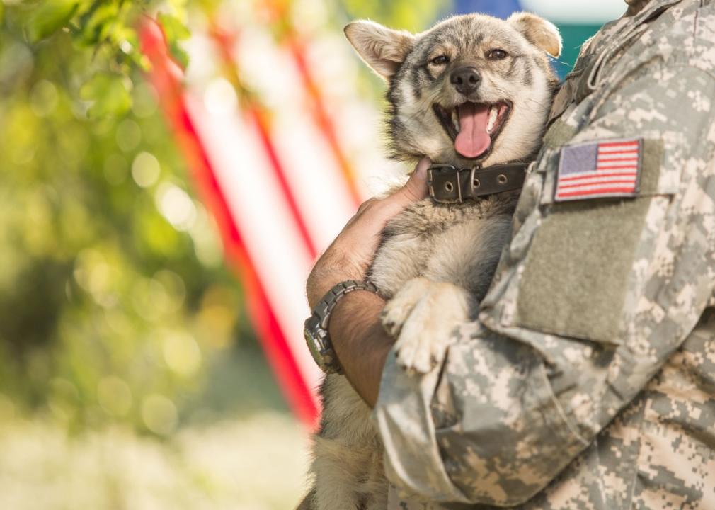 A soldier holding a dog with a partially visible American flag in the background.