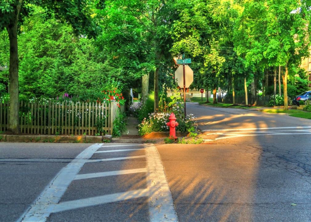 Flowers in a residential neighborhood.