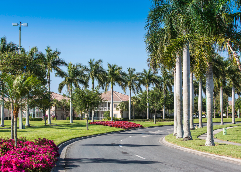 A road going through a community lined with flowers and palm trees.