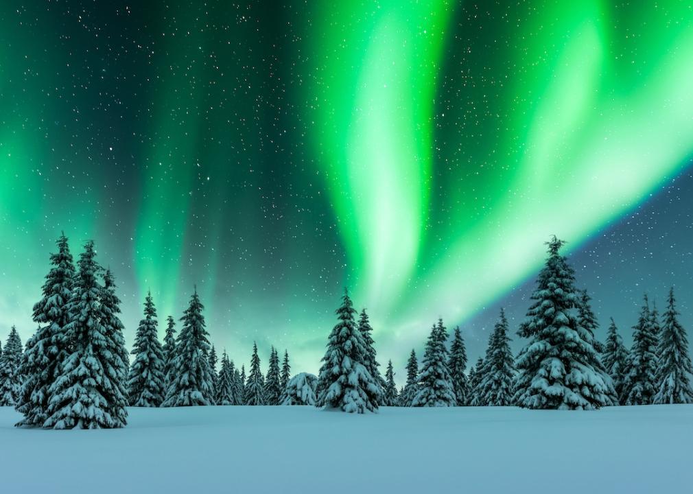A night winter landscape with the northern lights above a pine tree forest.