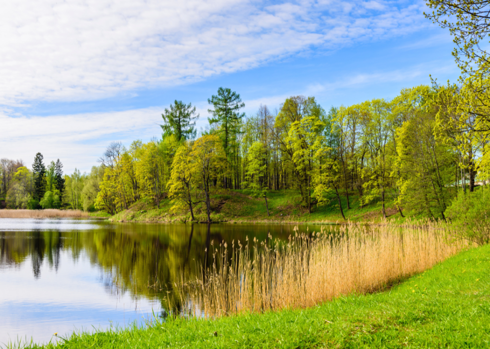 A park near a pond.