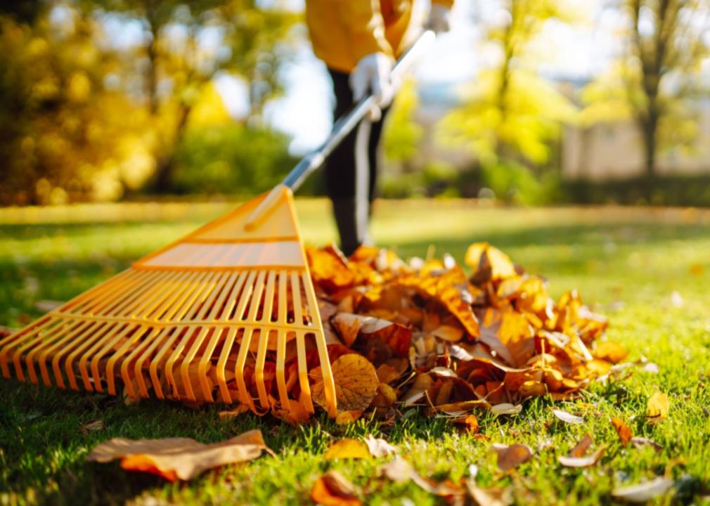 A person raking leaves.