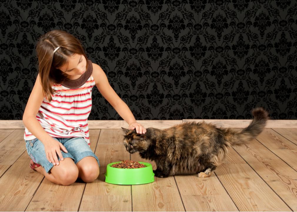 A little girl feeding a cat
