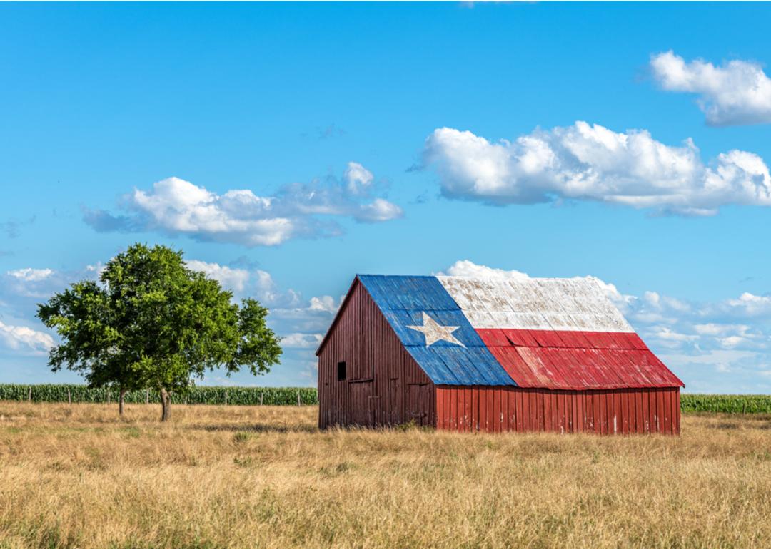 An abandoned old barn with the symbol of Texas painted on the roof surrounded by farmland.
