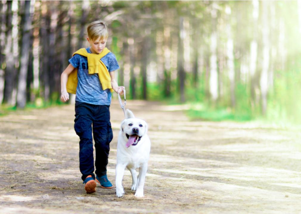 A boy walking a dog in a park