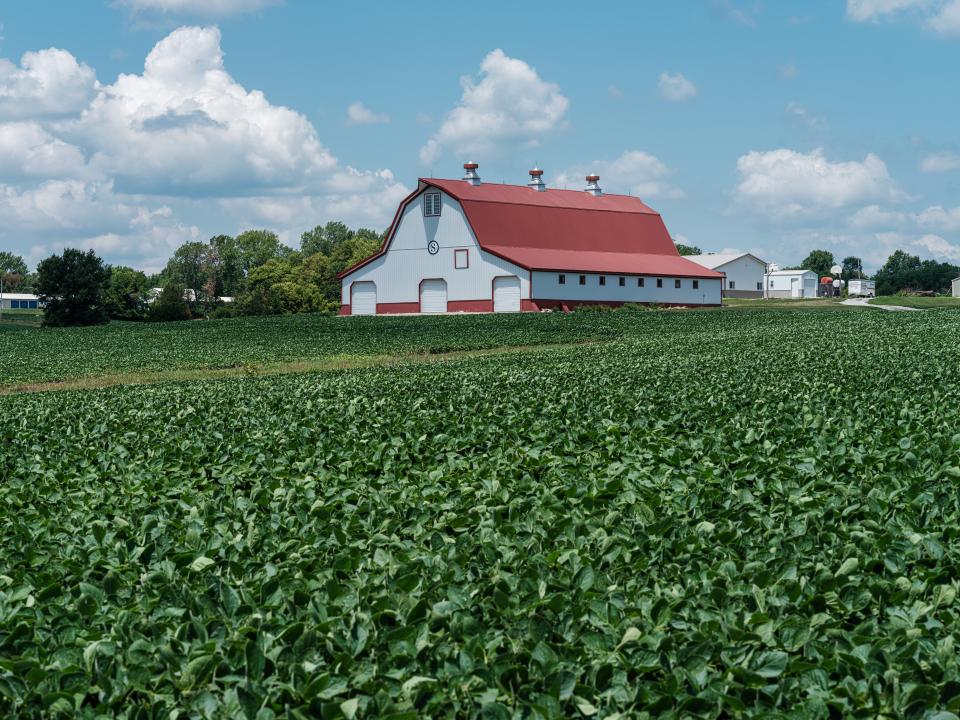 Midsummer agricultural field with red roof barn in Missouri.