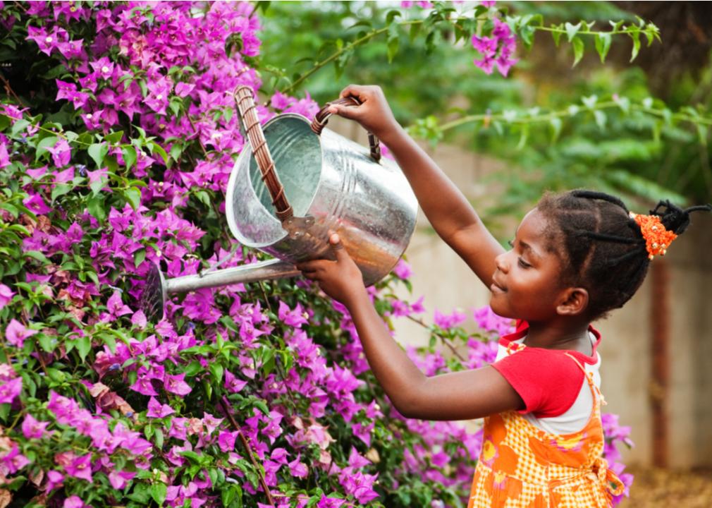 A girl watering purple flowers with a metal watering can in a garden