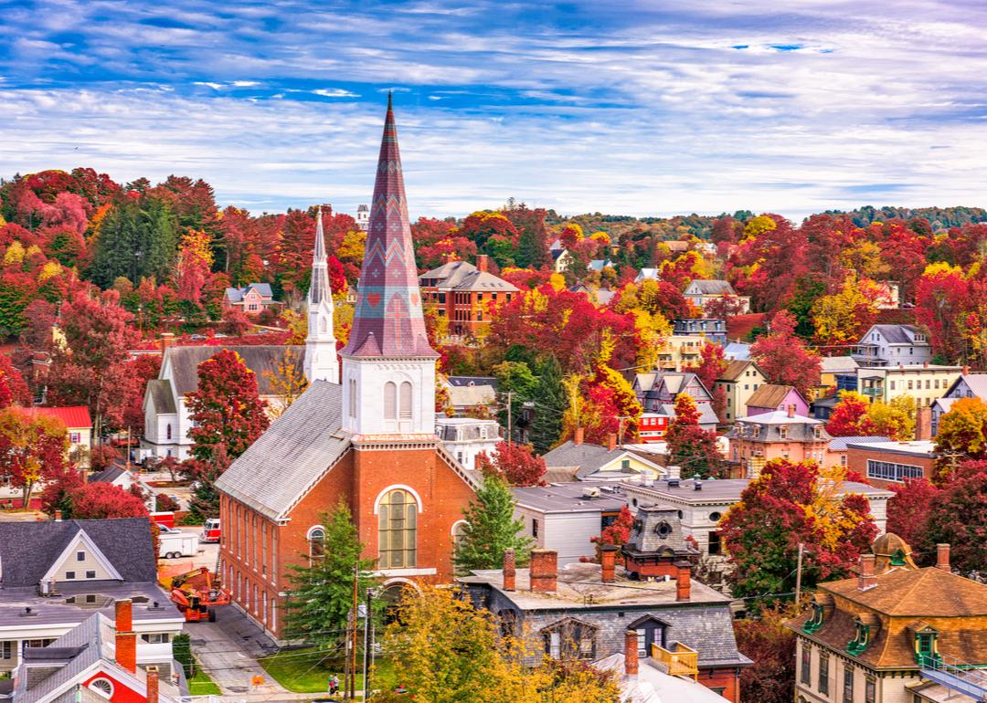 An aerial view of multicolored trees in Montpelier during autumn.