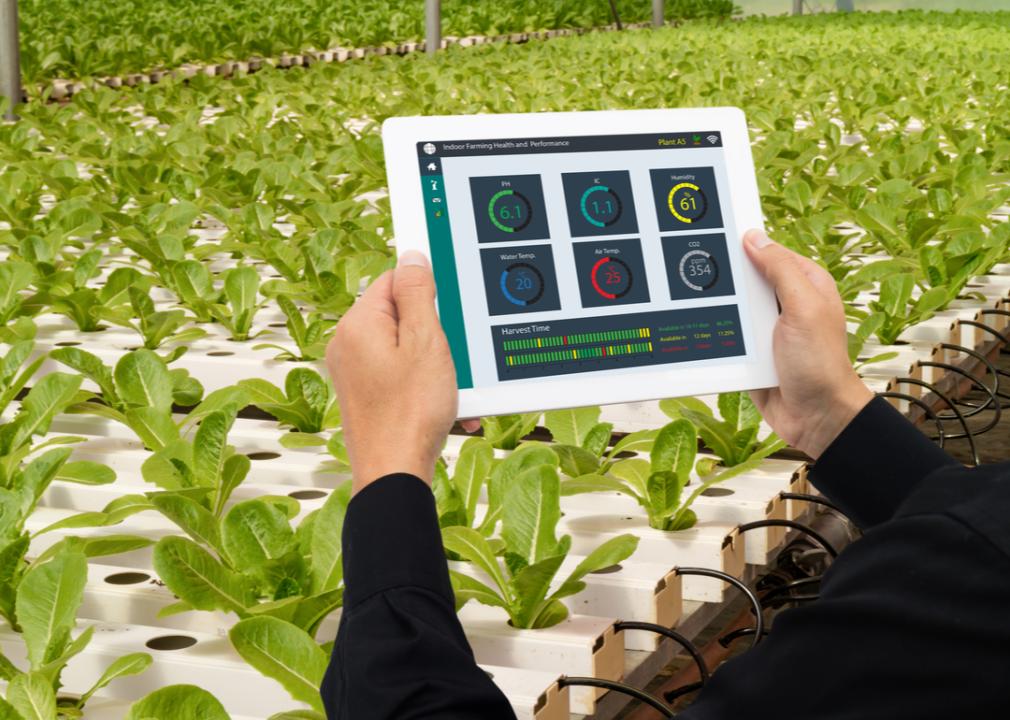 An industrial agronomist using a tablet to monitor and control the condition in vertical or indoor farm based on data 