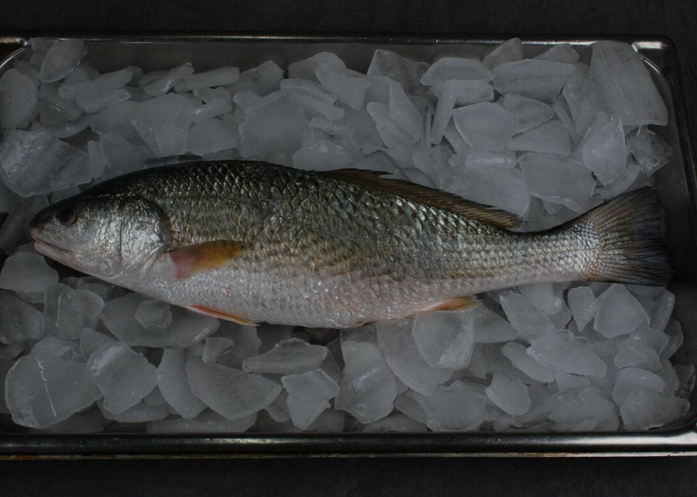 Redfish on a bed of ice.