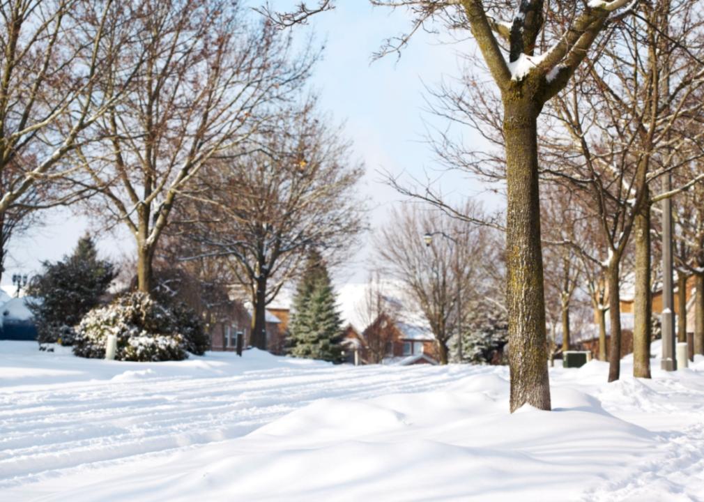 A street of homes in the snow.