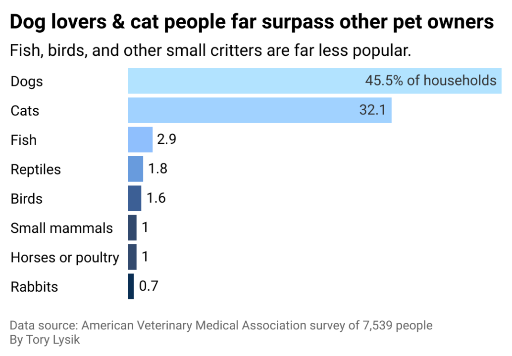 A bar chart showing that dogs are far more popular than other pets.