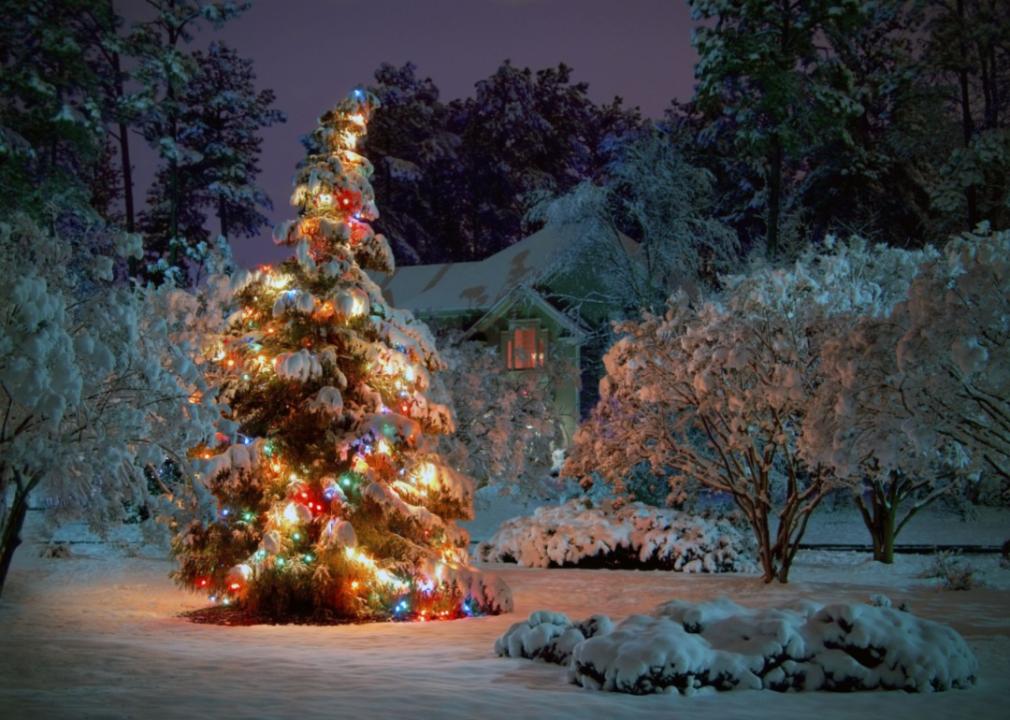 A decorated Christmas tree in the snow.