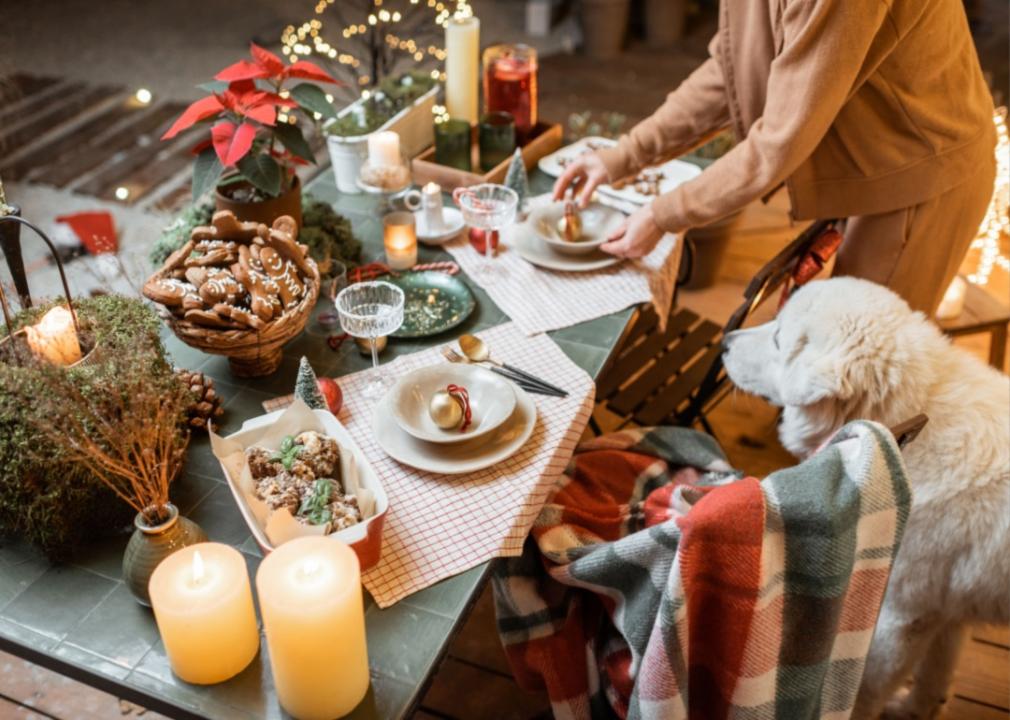 A dog looking at a Christmas dinner table.