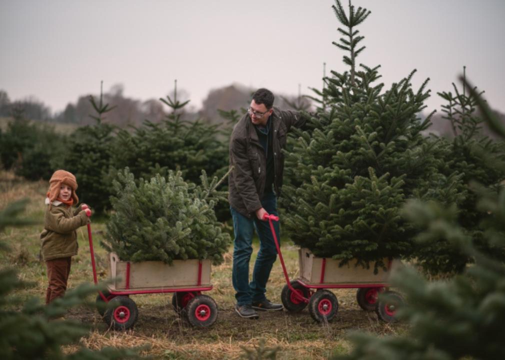 A man and son picking out a tree with a wagon.