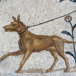 Dog on a leash mosaic