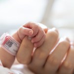 Close up preterm baby hand holding an adult's hand.