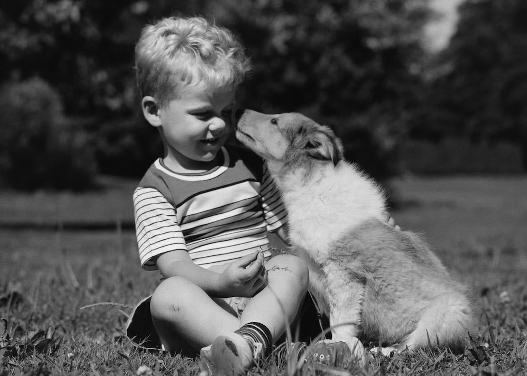 Vintage photo of a boy sitting in the grass with a dog licking his face.