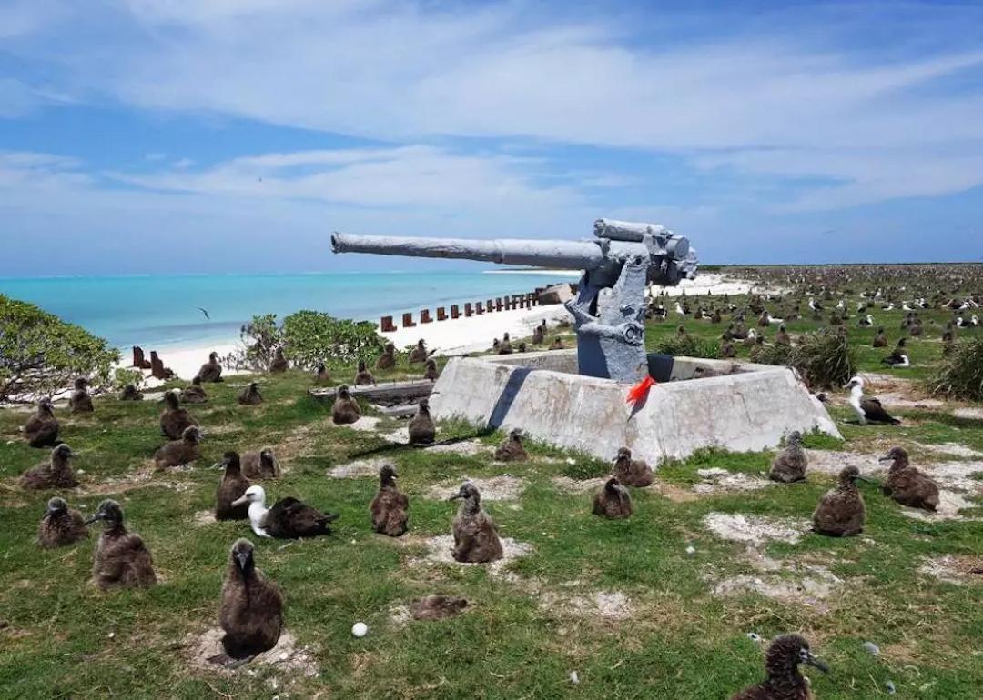 Eastern Island on the Midway Atoll in Hawaii