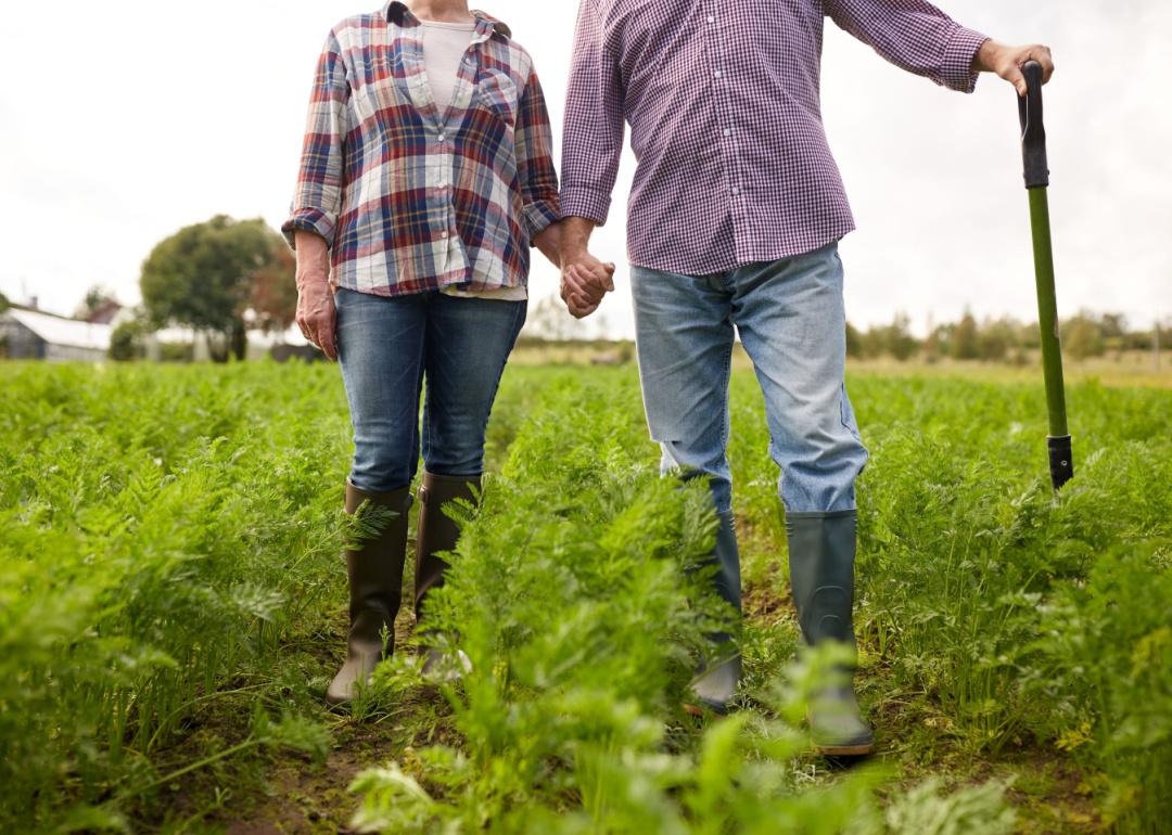 Happy senior couple holding hands standing on summer farm.