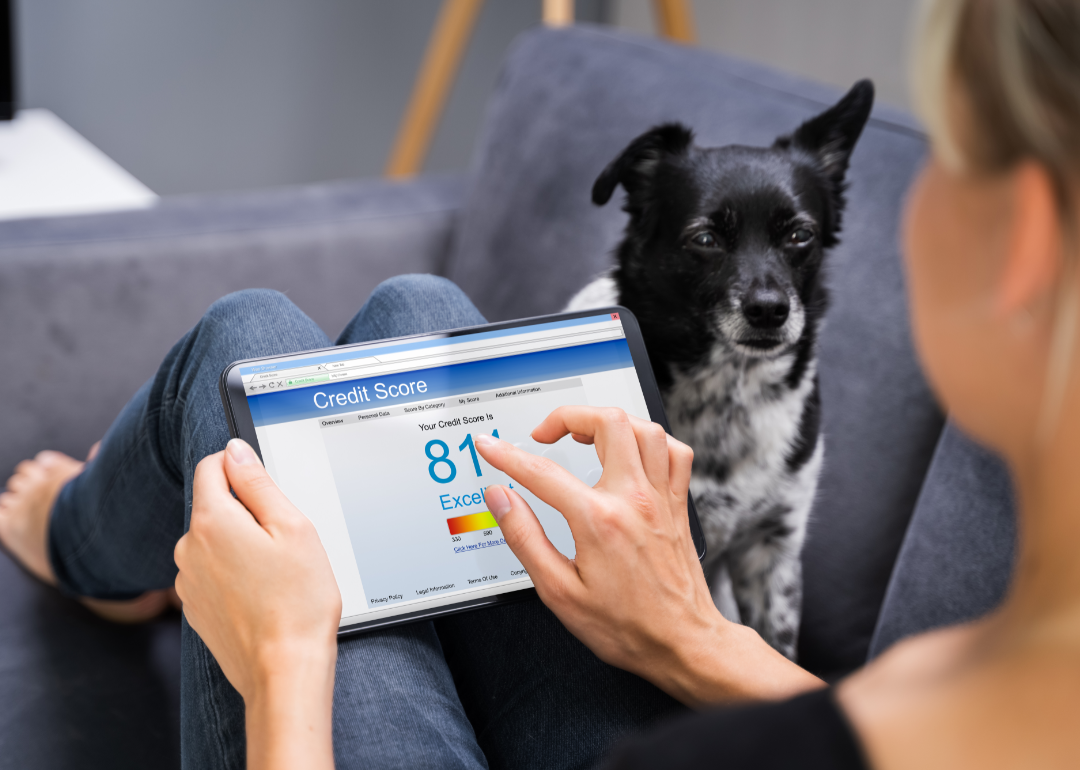 A person researches their credit score online with a dog watching.