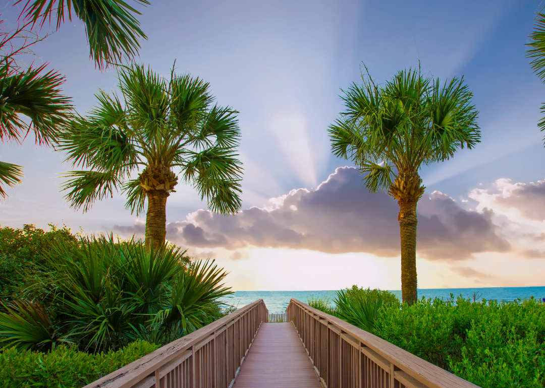 View of the beach from the boardwalk flanked by palm trees at sunrise in Hilton Head Island, South Carolina.