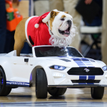 Butler Bulldogs mascot Blue rides in a car dressed as Santa during a basketball game.