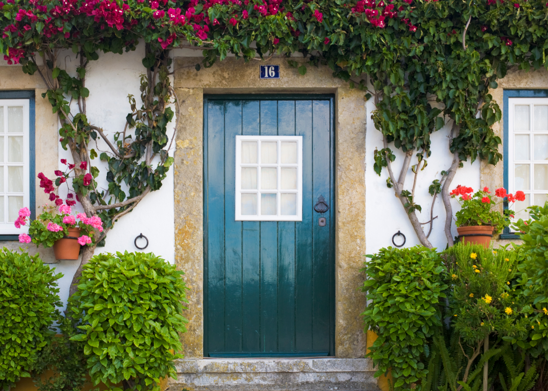 A turquoise front door of a home with plants and climbing vines outside.
