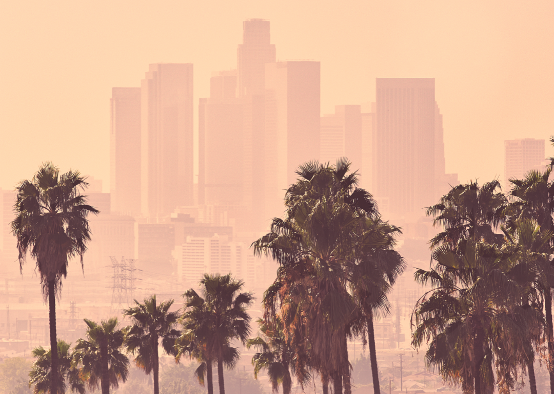 Downtown Los Angeles skyline enveloped in smog with palm trees in the foreground