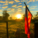 American flag hangs on the post of a fence on a farm at sunrise.