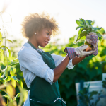 A young Black woman gardener holds up a handful of turnips and inspects them