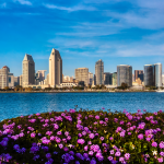 San Diego skyline surrounded by water with floral bushes in the foreground.