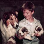 Actor Tommy Rettig and TV dog Lassie admire the famed canine star's 10-pup litter in 1954.