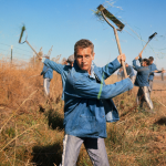 Paul Newman standing in a field, rake in hand, in a scene from "Cool Hand Luke", 1967.