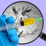 A hypodermic needle is held in front of a magnifying glass looking at mosquitoes.