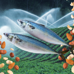 Photo illustration of agricultural sprinklers, assorted nuts and mackerel.