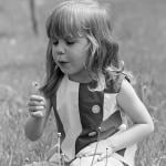 Child in the '60s blows on a dandelion while sitting in the grass.