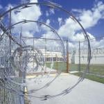 close up of barbed wire fence spiral at Dade County Correctional Facility in FL