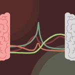 An illustration showing different colored lines connecting each side of the brain.