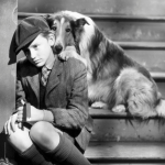  A young Roddy McDowall lends a shoulder to his beloved dog Lassie in the first of the Lassie films, "Lassie Come Home" 1943.