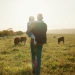 A parent holds their child while standing among animals on farmland.