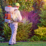 Person wearing protective suit spraying chemicals in yard with plants.