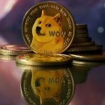 Dogecoin with Shiba Inu face balanced on reflective surface with abstract purple and pink background.