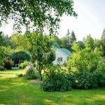 Beautifully displayed yard with the greenest grass and various plants and flowers.