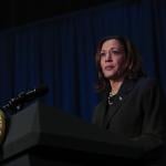 US Vice President Kamala Harris makes remarks before a moderated conversation July 17, 2024 in Kalamazoo, Michigan.