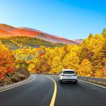 Car driving on black asphalt road surrounded by trees with red and yellow leaves on both sides.