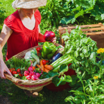 A lady holding a basket full of different vegetables harvested from her garden.